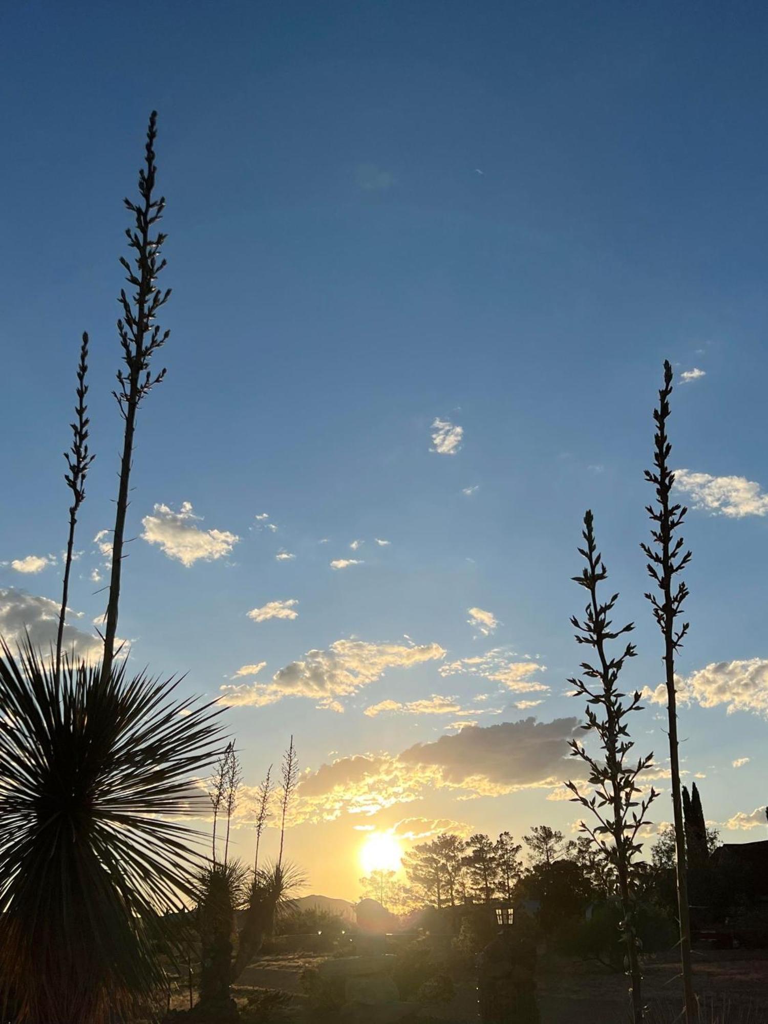 Hole In The Wall Getaway - Usa Mexico Border Bed And Breakfast Columbus 외부 사진