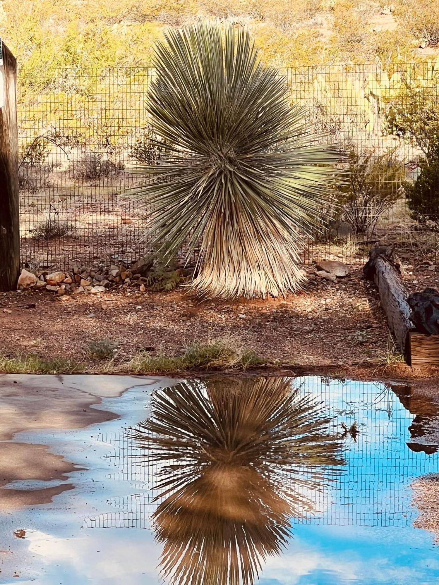 Hole In The Wall Getaway - Usa Mexico Border Bed And Breakfast Columbus 외부 사진